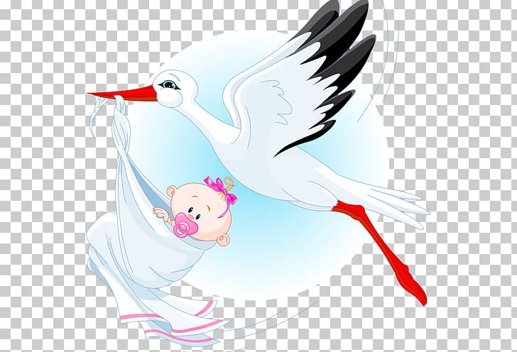 Stork Infant PNG, Clipart, Animals, Art, Beak, Bird, Child Free PNG Download