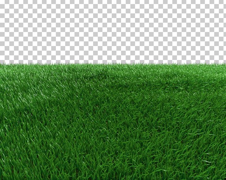Artificial Turf Green Meadow Grasses PNG, Clipart, Artificial Turf, Background, Field, Grass, Grasses Free PNG Download