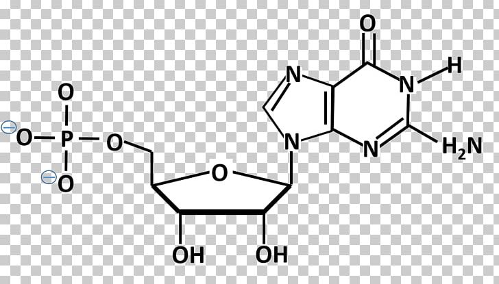 Guanosine Monophosphate Guanine Adenosine Monophosphate Nucleoside PNG, Clipart, Adenosine, Adenosine Monophosphate, Angle, Area, Auto Part Free PNG Download