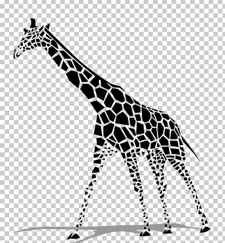 Giraffe Euclidean PNG, Clipart, Animal, Animals, Background Black, Black, Black And White Free PNG Download