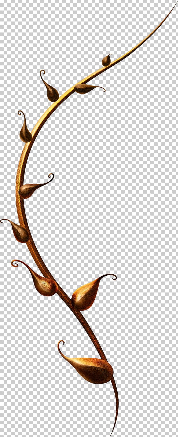 PhotoScape PNG, Clipart, Body Jewelry, Branch, Dia, Gimp, Leaf Free PNG Download