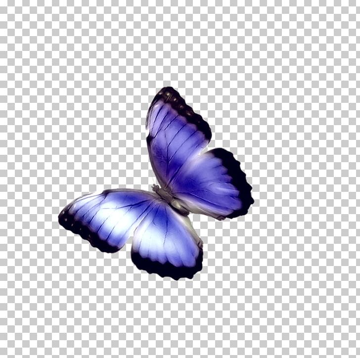 Butterfly Phengaris Alcon Chemical Element PNG, Clipart, Arthropod, Blue, Blue Abstract, Blue Abstracts, Blue Background Free PNG Download