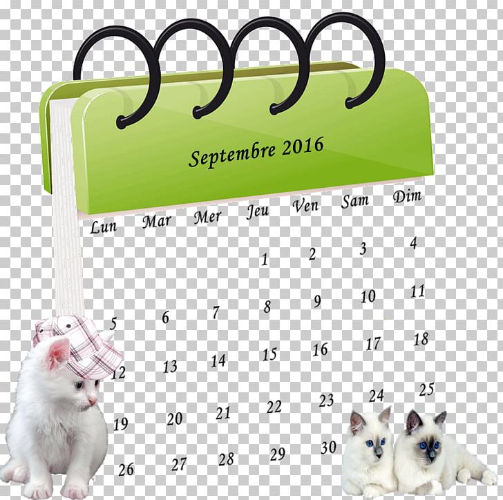 Calendar Date Conférence-Atelier Time Diary PNG, Clipart,  Free PNG Download