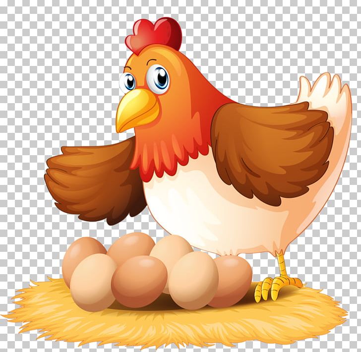 Chicken Egg Hen PNG, Clipart, Beak, Bird, Cartoon, Chicken, Chicken Egg Free PNG Download