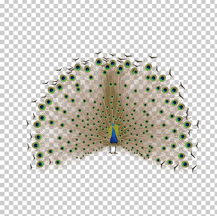 Feather Peafowl PNG, Clipart, Animals, Cartoon, Cooking, Creativity, Fenghuang Free PNG Download