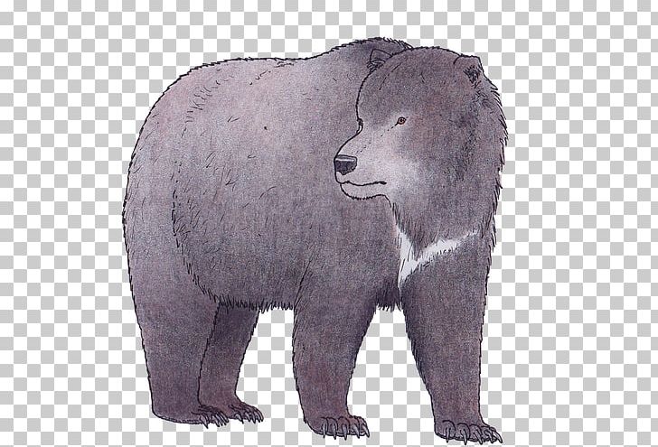 Grizzly Bear Polar Bear American Black Bear Cave Bear Short-faced Bears PNG, Clipart, American Black Bear, Animal, Animals, Asian Black Bear, Bear Free PNG Download