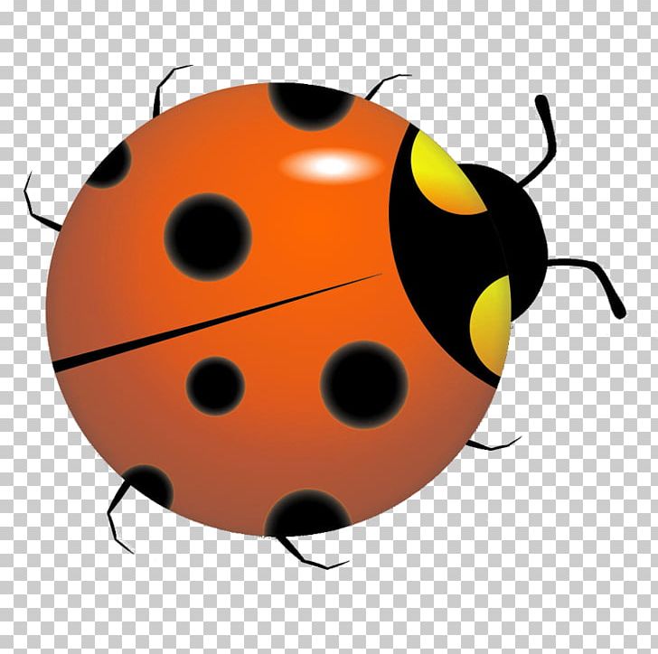 Ladybird Beetle Coccinella Septempunctata PNG, Clipart, Animal, Arthropod, Beetle, Cartoon, Coccinella Free PNG Download