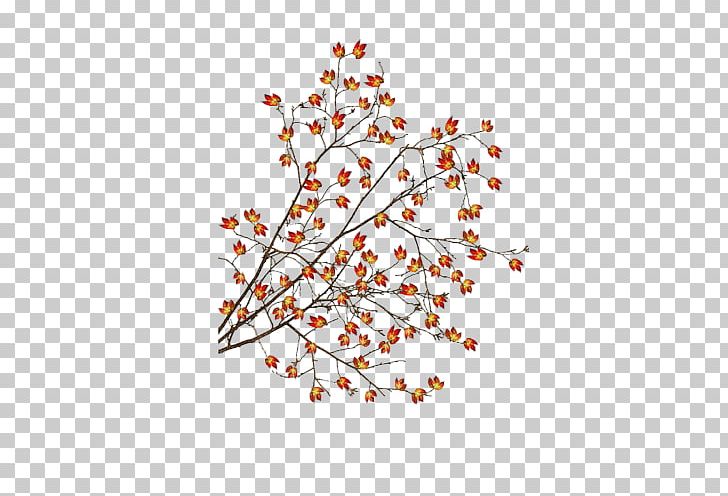 Leaf Plant Stem Petal Autumn PNG, Clipart, Area, Autumn, Autumn Leaves, Branch, Download Free PNG Download