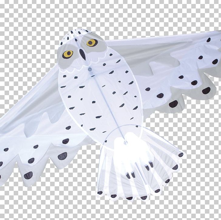 Owl Sport Kite Box Kite Toy PNG, Clipart, Angle, Animals, Box Kite, Game, Hobby Free PNG Download