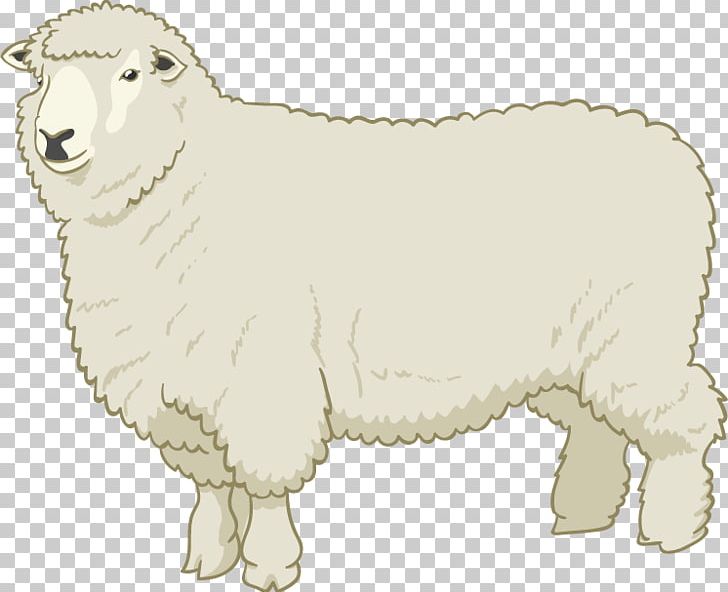 Sheep Drawing PNG, Clipart, Animal, Animal Figure, Animals, Artworks, Bear Free PNG Download