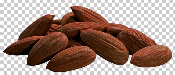 Almond Nut PNG, Clipart, Almond, Almond Oil, Chocolate Cake, Commodity, Copying Free PNG Download