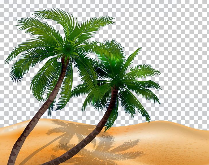 Arecaceae Tree Silhouette Illustration PNG, Clipart, Adobe Illustrator, Arecaceae, Arecales, Beach Material, Christmas Tree Free PNG Download
