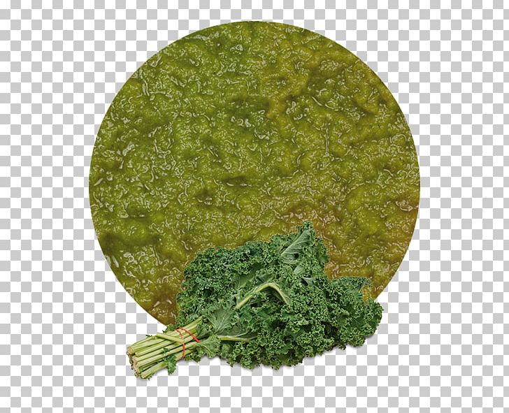 Curly Kale Capitata Group Food Health PNG, Clipart, Aonori, Brassica Oleracea, Capitata Group, Cruciferous Vegetables, Eating Free PNG Download