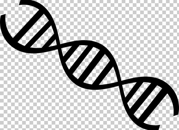 Genealogical DNA Test Nucleic Acid Double Helix Genetics PNG, Clipart, Angle, Area, Artwork, Biology, Black And White Free PNG Download