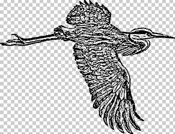 Great Blue Heron Line Art Bird PNG, Clipart, Animals, Art, Artwork, Beak, Bird Free PNG Download