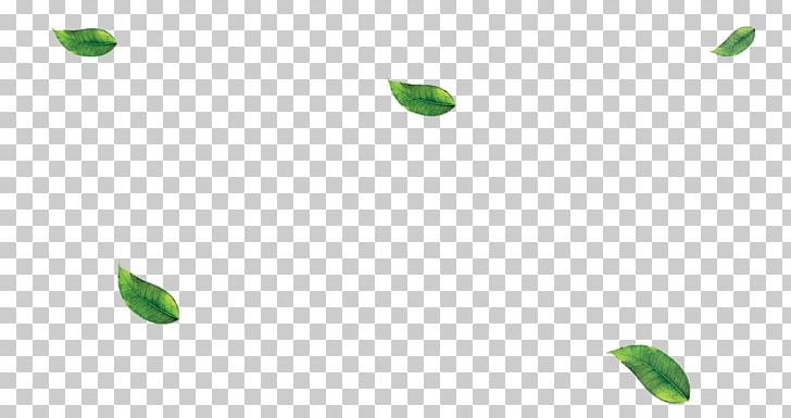Leaf Plant Stem Desktop PNG, Clipart, Closeup, Closeup, Computer, Computer Wallpaper, Desktop Wallpaper Free PNG Download