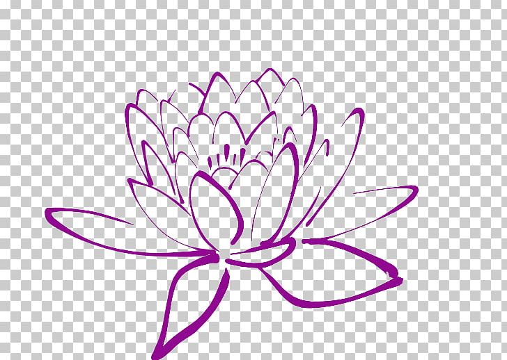 Open Magnolia Graphics PNG, Clipart, Area, Artwork, Circle, Cut Flowers, Drawing Free PNG Download