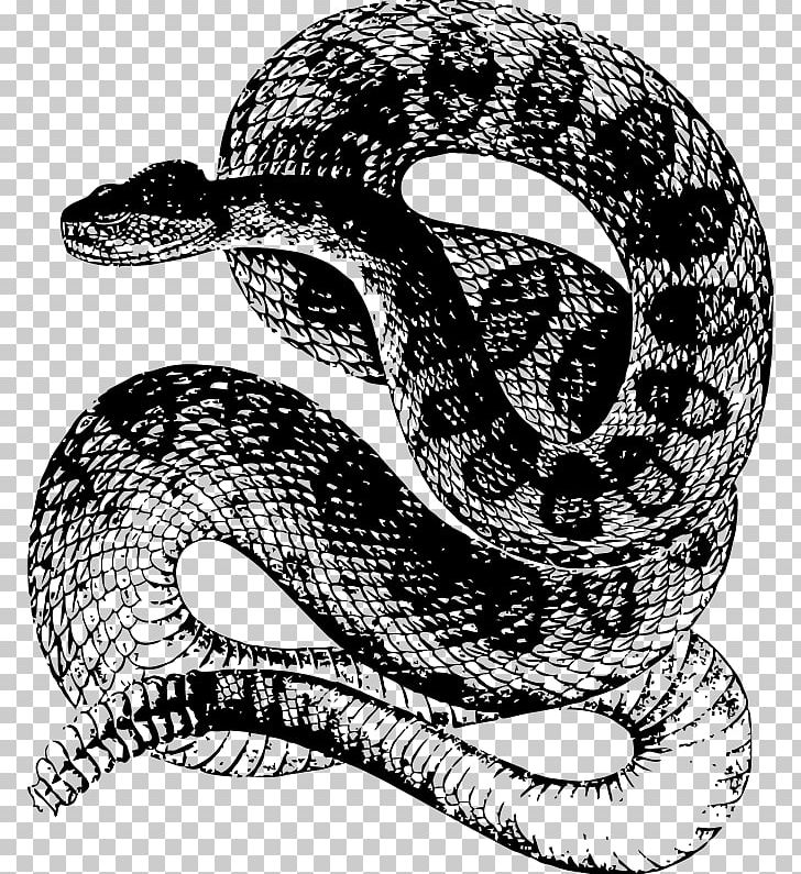 Rattlesnake Reptile Vintage Clothing T-shirt PNG, Clipart, Animals, Automotive Design, Black And White, Boa Constrictor, Boas Free PNG Download