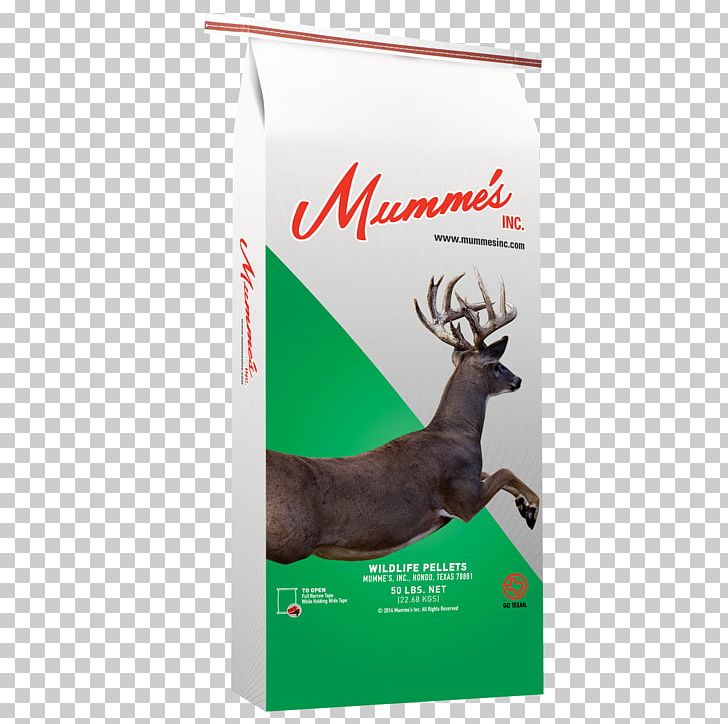 Reindeer Mumme's Inc Wildlife Antler PNG, Clipart, Alfalfa, Animal, Animals, Antler, Bag Free PNG Download