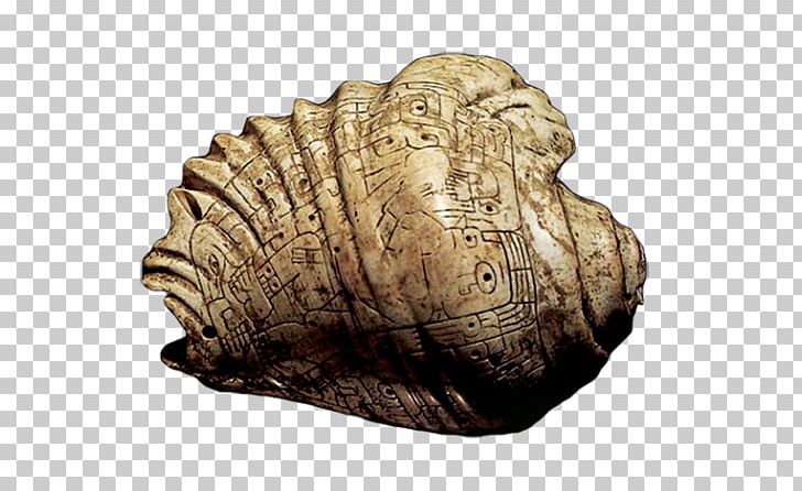 Stone Carving Terrestrial Animal Rock Fossil Group PNG, Clipart, Animal, Artifact, Carving, Fossil, Fossil Group Free PNG Download