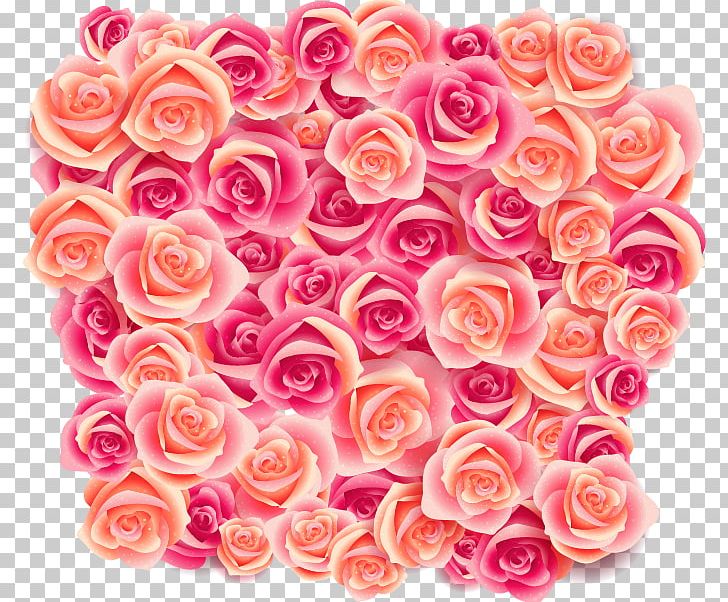 Beach Rose Rosa Pisocarpa PNG, Clipart, Cluster Vector, Cut Flowers, Download, Flo, Floral Design Free PNG Download