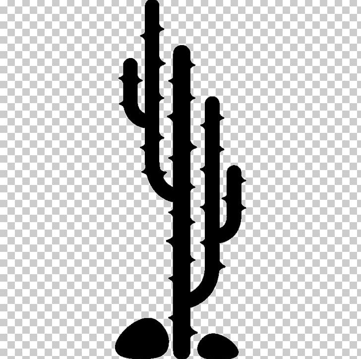 Cactaceae Sticker Wall Pine Sales PNG, Clipart, Black And White, Branch, Cactaceae, Cacto, Candle Free PNG Download