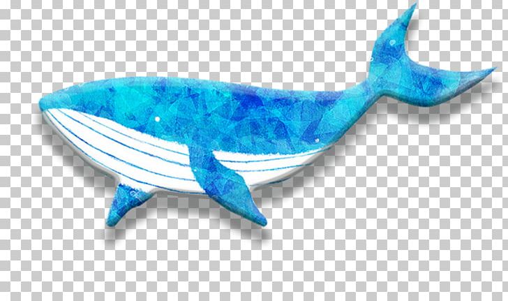 Dolphin Whale PNG, Clipart, Animals, Aqua, Blue, Blue Whale, Cartoon Dolphin Free PNG Download