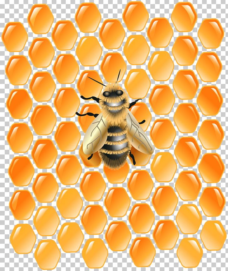 Honey Bee Honeycomb PNG, Clipart, Bee, Beehive, Computer Icons, Desktop Wallpaper, Graphic Design Free PNG Download