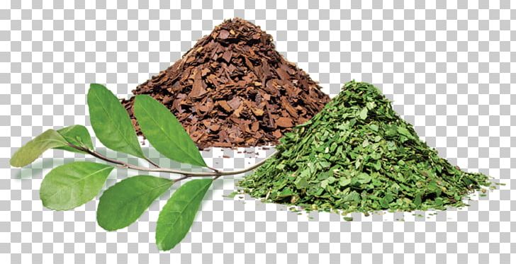 Mate Cocido Tereré Tea Yerba Mate PNG, Clipart, Bombilla, Caffeine, Drink, Energy Drink, Food Free PNG Download