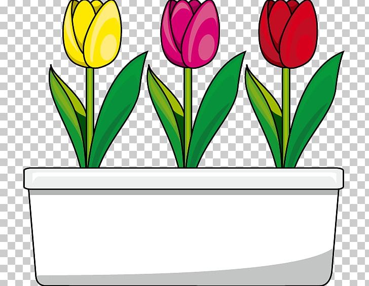 Tulip Cut Flowers PNG, Clipart, Artwork, Cut Flowers, Floristry, Flower, Flowering Plant Free PNG Download