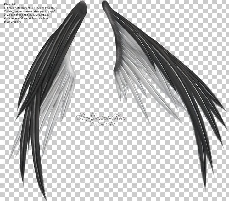 Wing Information Black And White PNG, Clipart, Angel, Bit, Black And White, Darkest Hour, Data Free PNG Download