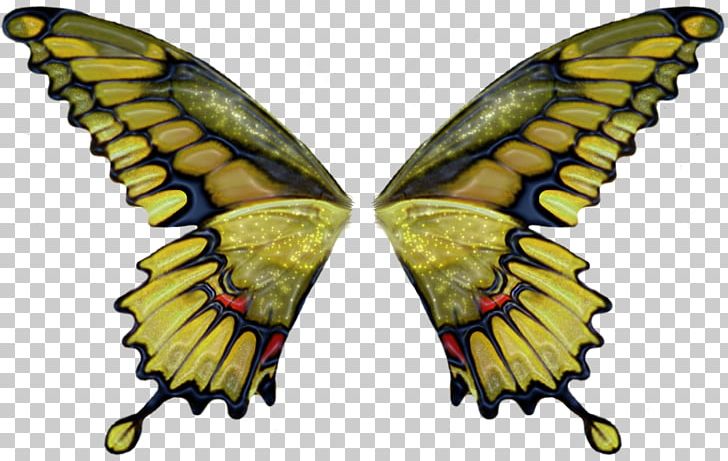 Butterfly Brush PNG, Clipart, 3d Computer Graphics, Angel Wing, Arthropod, Bombycidae, Brush Free PNG Download