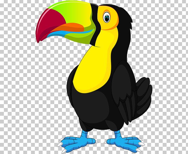 Graphics Illustration Toucan PNG, Clipart, Beak, Bird, Cartoon, Collage, Fauna Free PNG Download