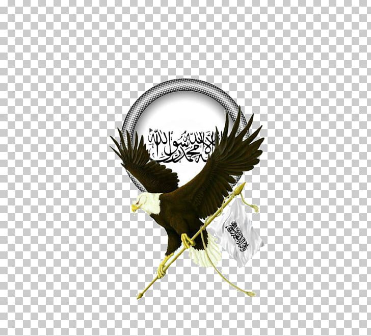 Jihad Islamic Terrorism Allah Muslim PNG, Clipart, Afghanistan, Allah, Beak, Bird, Eagle Free PNG Download