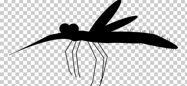 Mosquito Aedes Albopictus Zika Virus PNG, Clipart, Aedes Albopictus, Angle, Black And White, Blood, Drawing Free PNG Download