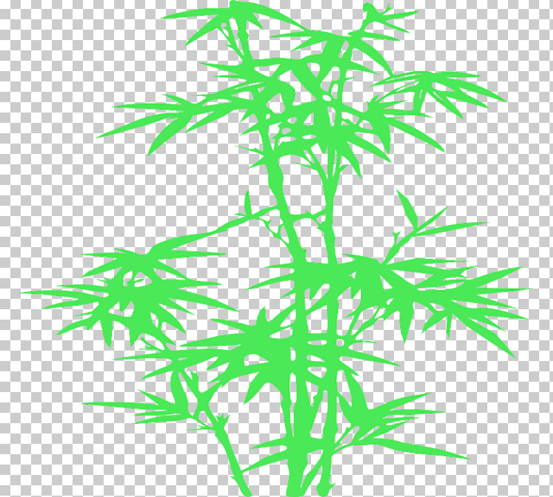 Leaf Plant Plant Stem Tree Hemp Family PNG, Clipart, Flower, Hemp Family, Leaf, Plant, Plant Stem Free PNG Download