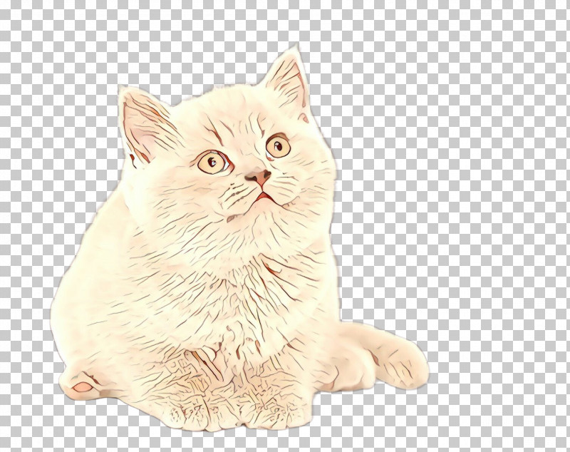 Cat Small To Medium-sized Cats Whiskers Persian Kitten PNG, Clipart, American Bobtail, British Shorthair, Cat, Kitten, Persian Free PNG Download