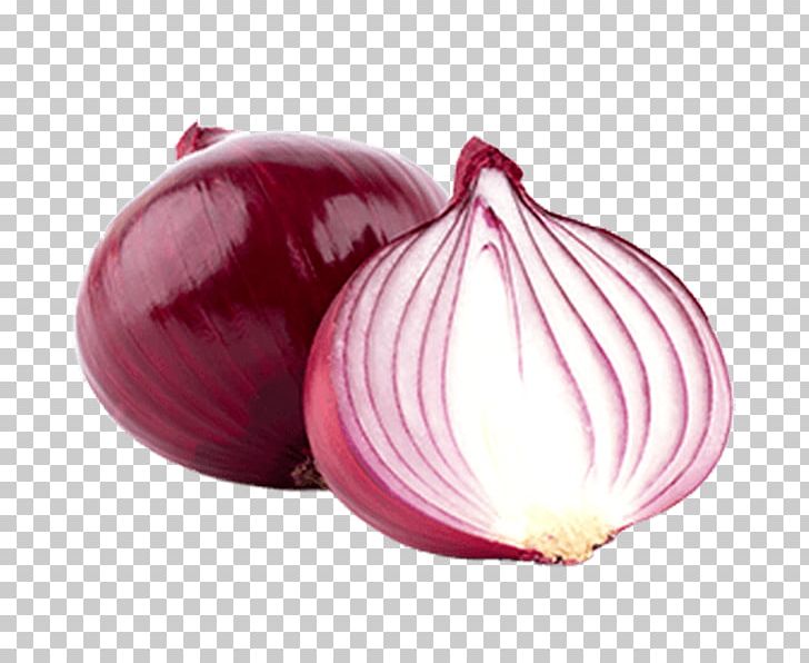 Red Onion Food Vegetable Shallot Yellow Onion PNG, Clipart, Allicin, Alliin, Allium, Food, Health Free PNG Download