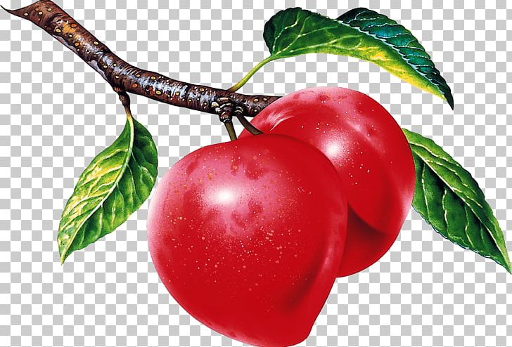 Fruit Desktop Plum Food Apple PNG, Clipart, Acerola, Acerola Family, Apple, Berry, Bush Tomato Free PNG Download