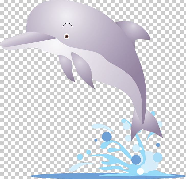 Karadag Dolphinarium PNG, Clipart, Animals, Common Bottlenose Dolphin, Computer Icons, Computer Wallpaper, Dolphin Free PNG Download