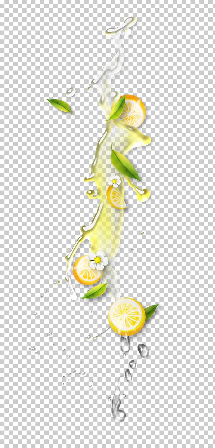 Orange Juice PNG, Clipart, Branch, Citrus Xd7 Sinensis, Color Splash, Encapsulated Postscript, Fruchtsaft Free PNG Download