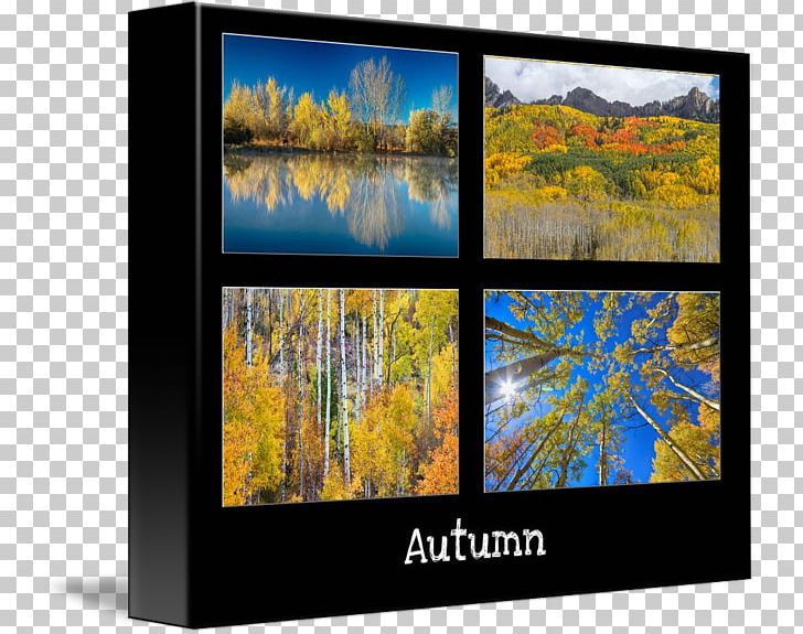 Television Autumn Aspen Modern Art Gallery Wrap PNG, Clipart, Art, Aspen, Autumn Price To, Canvas, Display Device Free PNG Download