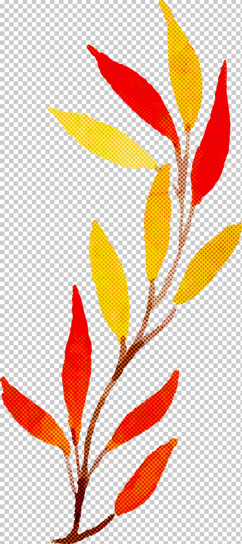 Autumn Leaf Colorful Leaf PNG, Clipart, Autumn, Autumn Leaf, Colorful Leaf, Flora, Flower Free PNG Download