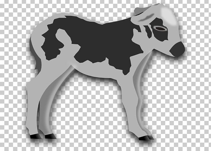 Calf Cattle Giraffe Milk PNG, Clipart, Black And White, Calf, Calf Cliparts, Carnivoran, Cartoon Free PNG Download