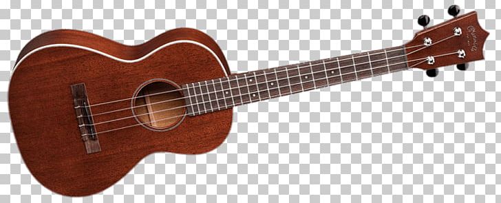 Ukulele Musical Instruments Guitar Trombone PNG, Clipart, Acoustic Electric Guitar, Concert, Cuatro, Guitar Accessory, Objects Free PNG Download