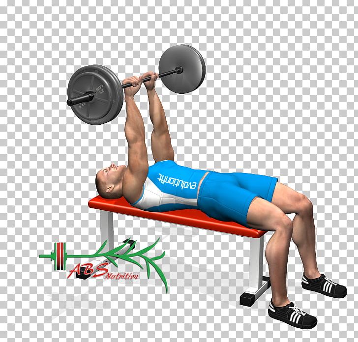 Weight Training Barbell Triceps Brachii Muscle Lying Triceps Extensions PNG, Clipart, Abdomen, Arm, Balance, Barbell, Exercise Free PNG Download
