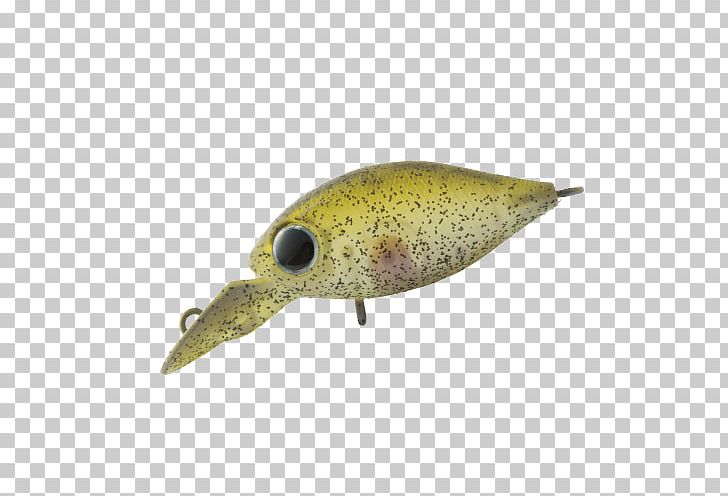 E-commerce Shopping Japan Railways Group Mail Order Spoon Lure PNG, Clipart, Bait, Color, Ecommerce, Fauna, Fish Free PNG Download
