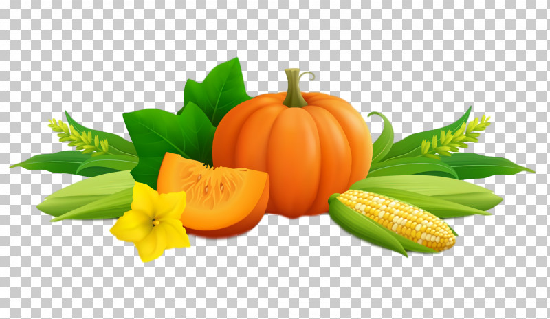 Thanksgiving Autumn Harvest PNG, Clipart, Apostrophe, Autumn, Fruit, Gourd, Harvest Free PNG Download