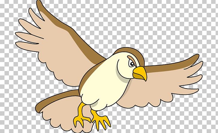 Eagle Bird Hawk Illustration PNG, Clipart, Animal, Bald Eagle, Beak, Bird, Bird Of Prey Free PNG Download