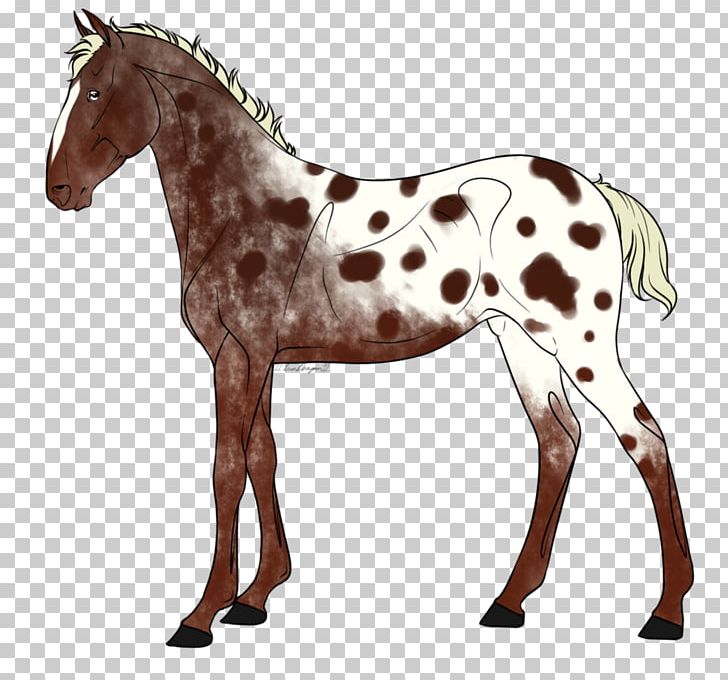 Foal Stallion Mare Mustang Colt PNG, Clipart, Animal, Animal Figure, Bridle, Colt, Foal Free PNG Download
